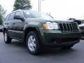 Jeep Green Metallic - Grand Cherokee Laredo Photo No. 4