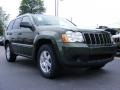 2009 Jeep Green Metallic Jeep Grand Cherokee Laredo  photo #4