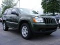 Jeep Green Metallic - Grand Cherokee Laredo Photo No. 4