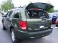 Jeep Green Metallic - Grand Cherokee Laredo Photo No. 7