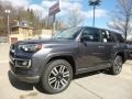 2017 Magnetic Gray Metallic Toyota 4Runner Limited 4x4  photo #4