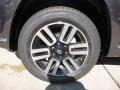 2017 Magnetic Gray Metallic Toyota 4Runner Limited 4x4  photo #5