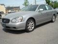 Titanium Silver - Q 45 Photo No. 1