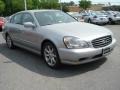 Titanium Silver - Q 45 Photo No. 8