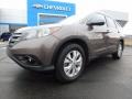 2014 Urban Titanium Metallic Honda CR-V EX-L AWD  photo #2