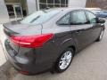 Magnetic - Focus SE Sedan Photo No. 2