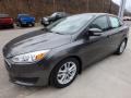 Magnetic - Focus SE Sedan Photo No. 6