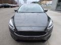 Magnetic - Focus SE Sedan Photo No. 7