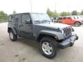 Rhino - Wrangler Unlimited Sport 4x4 Photo No. 6