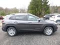 Granite Crystal Metallic - Cherokee Latitude 4x4 Photo No. 6