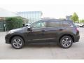 Kona Coffee Metallic - RDX Advance Photo No. 4