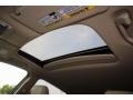 Kona Coffee Metallic - RDX Advance Photo No. 42