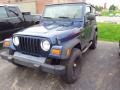 2005 Patriot Blue Pearl Jeep Wrangler X 4x4  photo #3