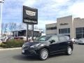 Ebony Twilight Metallic 2017 Buick Envision Preferred