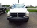 Brilliant Silver Metallic - Durango ST 4x4 Photo No. 2
