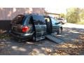 2006 Magnesium Pearl Chrysler Town & Country Limited #119604542