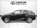 Obsidian - NX 200t AWD Photo No. 3