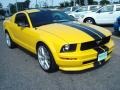 2006 Screaming Yellow Ford Mustang V6 Deluxe Coupe  photo #7