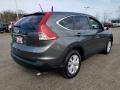 Polished Metal Metallic - CR-V EX Photo No. 7