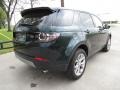 Aintree Green Metallic - Discovery Sport HSE 4WD Photo No. 7