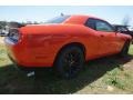 Go Mango - Challenger SXT Photo No. 3
