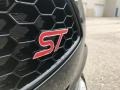 2017 Shadow Black Ford Fiesta ST Hatchback  photo #3