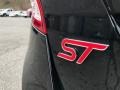 2017 Shadow Black Ford Fiesta ST Hatchback  photo #7