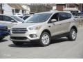 2017 White Gold Ford Escape SE 4WD  photo #1