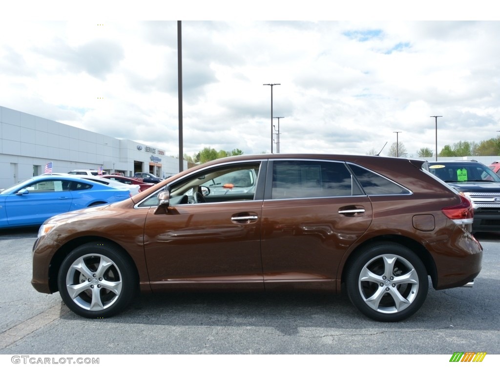 2014 Venza XLE - Sunset Bronze Mica / Ivory photo #5