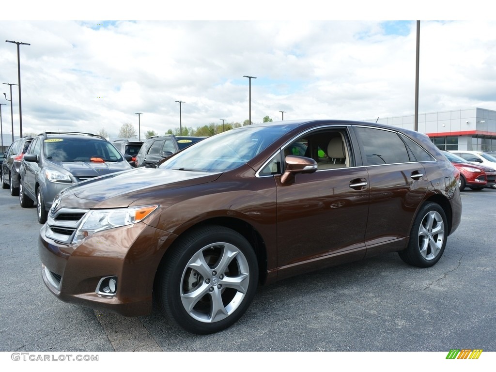 2014 Toyota Venza XLE Exterior Photos