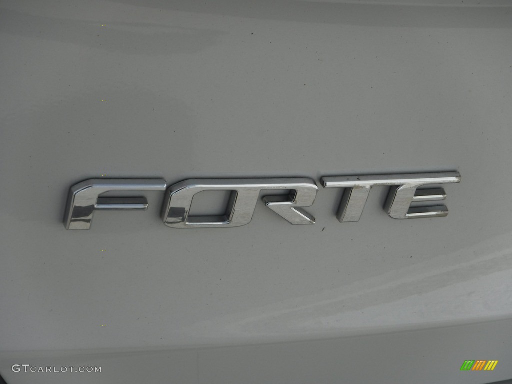 2014 Forte LX - Desert Sand / Gray photo #10