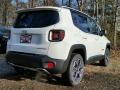 Alpine White - Renegade Limited 4x4 Photo No. 4
