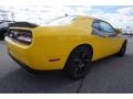YellowJacket - Challenger T/A Photo No. 3