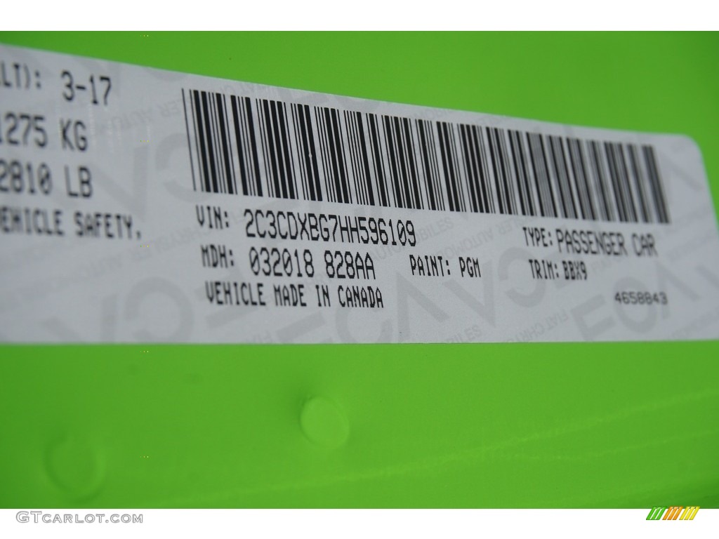 2017 Charger Color Code PGM for Green Go Photo #119714823