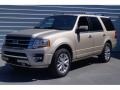 2017 White Gold Ford Expedition Limited  photo #3
