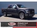 Magnetic 2017 Ford F150 Gallery