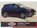 Black Current Metallic 2017 Toyota RAV4 LE