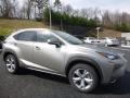 Atomic Silver - NX 200t AWD Photo No. 1