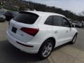 Ibis White - Q5 2.0 TFSI Premium Plus quattro Photo No. 12