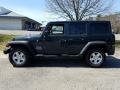 Rhino - Wrangler Unlimited Sport 4x4 Photo No. 3