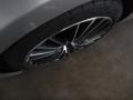 Silver Lining Metallic - RC F Photo No. 5