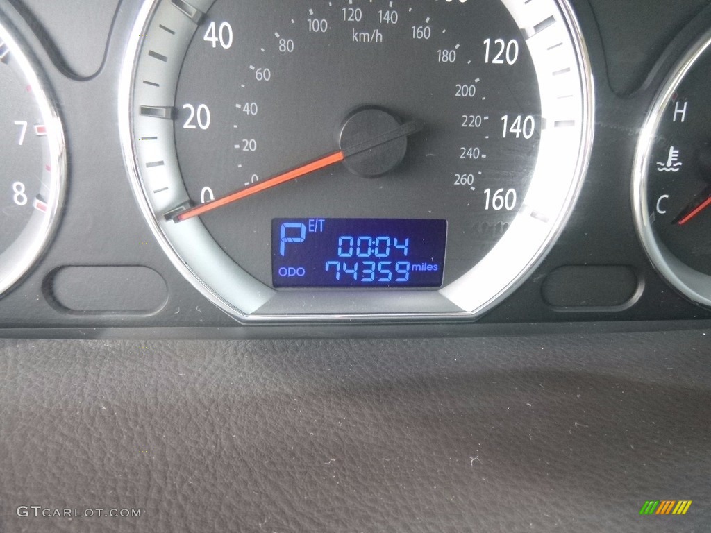 2009 Sonata GLS - Willow Gray / Camel photo #10