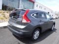 Polished Metal Metallic - CR-V EX-L AWD Photo No. 9