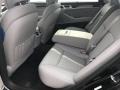 2017 Hyundai Genesis Gray Two Tone Interior Rear Seat Photo