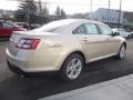 White Gold - Taurus SEL Photo No. 5