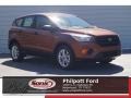 2017 Canyon Ridge Ford Escape S  photo #1