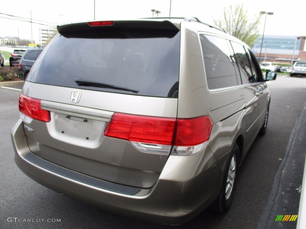 2010 Odyssey EX - Mocha Metallic / Olive photo #5