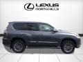 Nebula Gray Pearl - GX 460 Luxury Photo No. 2