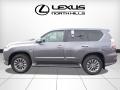 Nebula Gray Pearl - GX 460 Luxury Photo No. 3