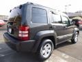 Dark Charcoal Pearl - Liberty Sport 4x4 Photo No. 6